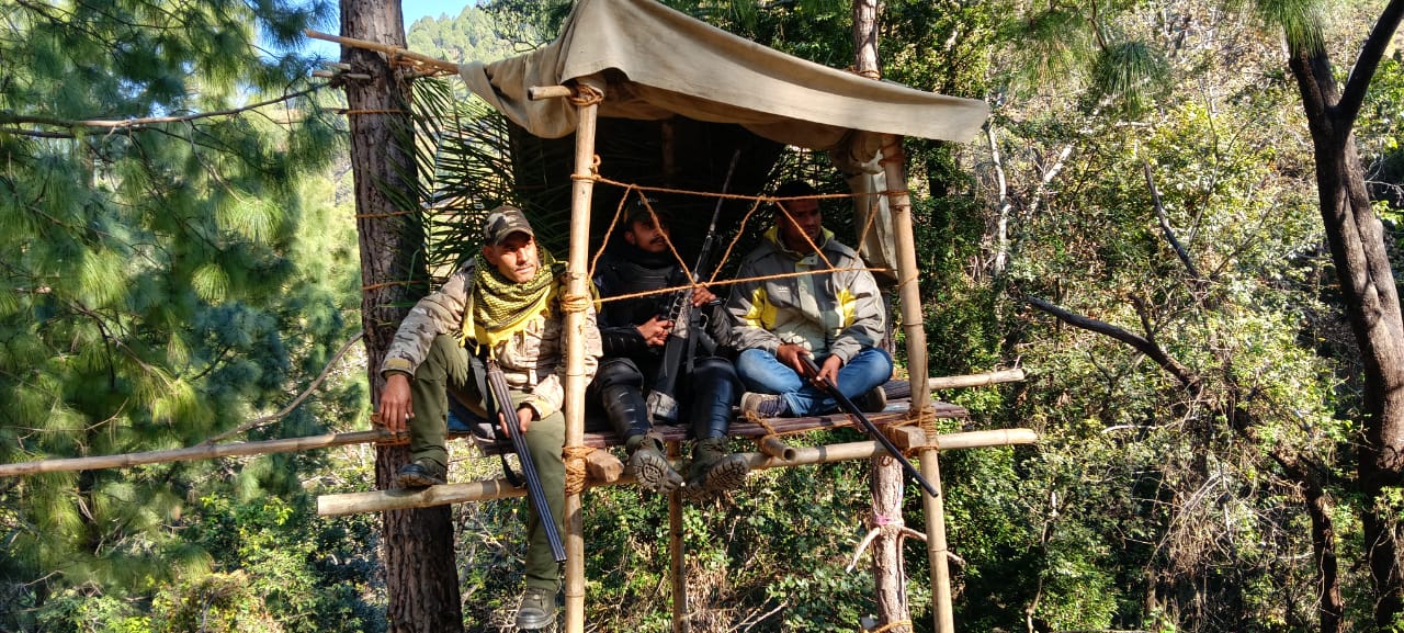 पौड़ी के गजल्ड में आदमखोर गुलदार के निस्तारण को प्रशासन सतर्क,वन विभाग की गश्त तेज