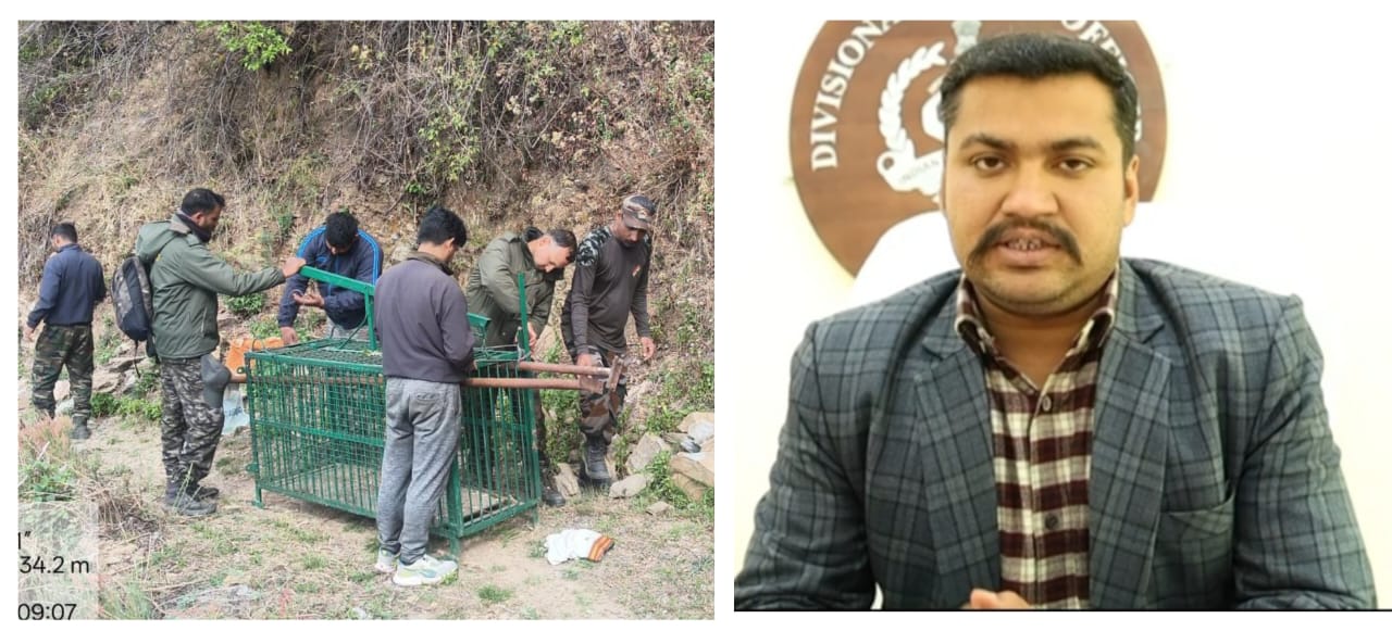 मानव-वन्यजीव संघर्ष पर कड़ा कदम-गुलदार को पकड़ने के साथ ही नष्ट करने के आदेश