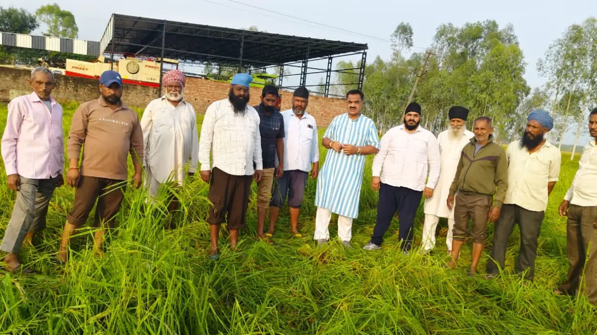 ओलावृष्टि से बर्बाद धान की फसल का पूर्व विधायक ठुकराल ने लिया जायजा